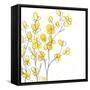 Posy Pop I-June Vess-Framed Stretched Canvas