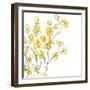 Posy Pop I-June Vess-Framed Art Print