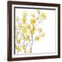 Posy Pop I-June Vess-Framed Art Print