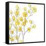 Posy Pop I-June Vess-Framed Stretched Canvas