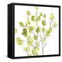 Posy Pop III-June Vess-Framed Stretched Canvas