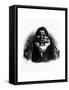 Pot-De-Naz, Caricature from 'Le Charivari', May 2, 1833-Honore Daumier-Framed Stretched Canvas