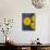 Pot Marigold (Calendula officinalis) close-up of flowers, against blue background of glazed bowl-Nicholas & Sherry Lu Aldridge-Mounted Photographic Print displayed on a wall