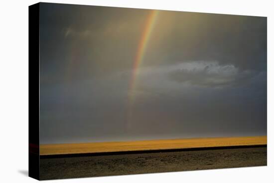 Pot of Gold-Valda Bailey-Stretched Canvas