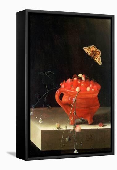 Pot of Wild Strawberries-Adrian Coorte-Framed Stretched Canvas