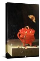 Pot of Wild Strawberries-Adrian Coorte-Stretched Canvas