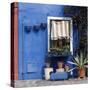 Pot Plants on Blue Painted Venice Building Exterior-Mike Burton-Stretched Canvas