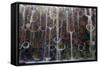 Pot Waterfall-Charles Bowman-Framed Stretched Canvas
