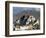 Potala Palace, Former Palace of the Dalai Lama, Unesco World Heritage Site, Lhasa, Tibet, China-Ethel Davies-Framed Photographic Print