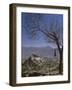 Potala Palace from Yuwang Shan Mountain, Lhasa, Tibet, China, Asia-Nigel Blythe-Framed Photographic Print