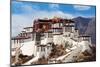 Potala Palace in Lhasa Tibet-null-Mounted Art Print