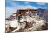 Potala Palace in Lhasa Tibet-null-Mounted Art Print