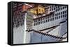 Potala Palace, Lhasa, Tibet, China-Ivan Vdovin-Framed Stretched Canvas