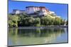 Potala Palace, Lhasa, Tibet, China-Ivan Vdovin-Mounted Photographic Print