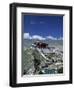 Potala Palace, Lhasa, Tibet-James Montgomery Flagg-Framed Photographic Print