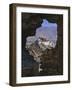 Potala Palace, Seen Through Ruined Fort Window, Lhasa, Tibet-Nigel Blythe-Framed Photographic Print