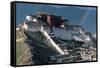 Potala Palace-null-Framed Stretched Canvas