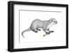Potamotherium-null-Framed Photographic Print