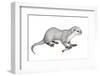 Potamotherium-null-Framed Photographic Print