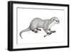 Potamotherium-null-Framed Photographic Print