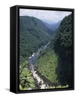 Potaro River, Guyana-null-Framed Stretched Canvas