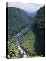 Potaro River, Guyana-null-Stretched Canvas