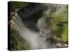 Potaro River Which Runs into the Essequibo River, Kaieteur National Park Rainforest, Guyana-Pete Oxford-Stretched Canvas