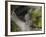 Potaro River Which Runs into the Essequibo River, Kaieteur National Park Rainforest, Guyana-Pete Oxford-Framed Photographic Print