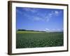 Potato and Wheat Fields Near Furano, Hokkaido Island, Japan, Asia-Gavin Hellier-Framed Photographic Print