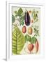 Potato, Aubergine, Tobacco and Winter Cherry-Elizabeth Rice-Framed Premium Giclee Print