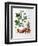 Potato, Botanical Plate from "La Botanique Mise a La Portee De Tout Le Monde"-Genevieve Regnault De Nangis-Framed Premium Giclee Print