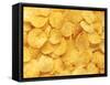 Potato Chips-null-Framed Stretched Canvas