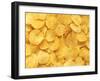 Potato Chips-null-Framed Photographic Print