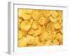 Potato Chips-null-Framed Photographic Print