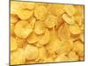 Potato Chips-null-Mounted Photographic Print