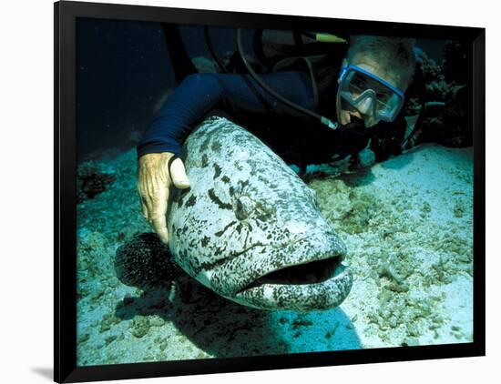 Potato Cod with Diver-Georgette Douwma-Framed Photographic Print