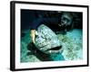 Potato Cod with Diver-Georgette Douwma-Framed Photographic Print