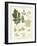 Potato Disease, Fungus-null-Framed Giclee Print