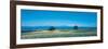 Potato Field Furano Hokkaido Japan-null-Framed Photographic Print