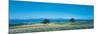 Potato Field Furano Hokkaido Japan-null-Mounted Photographic Print