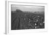 Potato Fields-Ansel Adams-Framed Art Print