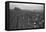 Potato Fields-Ansel Adams-Framed Stretched Canvas