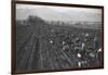 Potato Fields-Ansel Adams-Framed Art Print