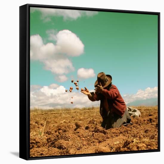 Potato Harvest In The Andes Of Peru-cwwc-Framed Stretched Canvas