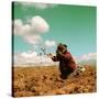 Potato Harvest In The Andes Of Peru-cwwc-Stretched Canvas