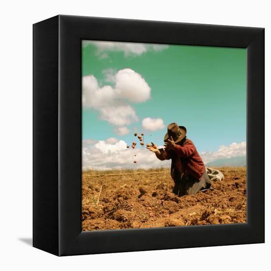 Potato Harvest In The Andes Of Peru-cwwc-Framed Stretched Canvas