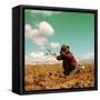 Potato Harvest In The Andes Of Peru-cwwc-Framed Stretched Canvas