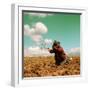 Potato Harvest In The Andes Of Peru-cwwc-Framed Art Print