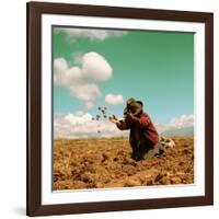 Potato Harvest In The Andes Of Peru-cwwc-Framed Art Print