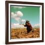 Potato Harvest In The Andes Of Peru-cwwc-Framed Art Print